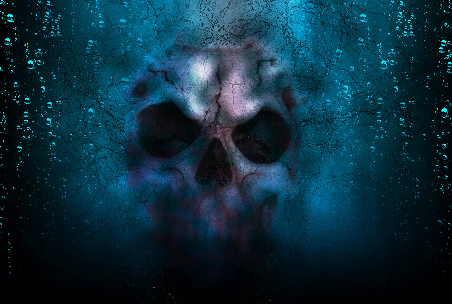The Stoic approach to life and death.