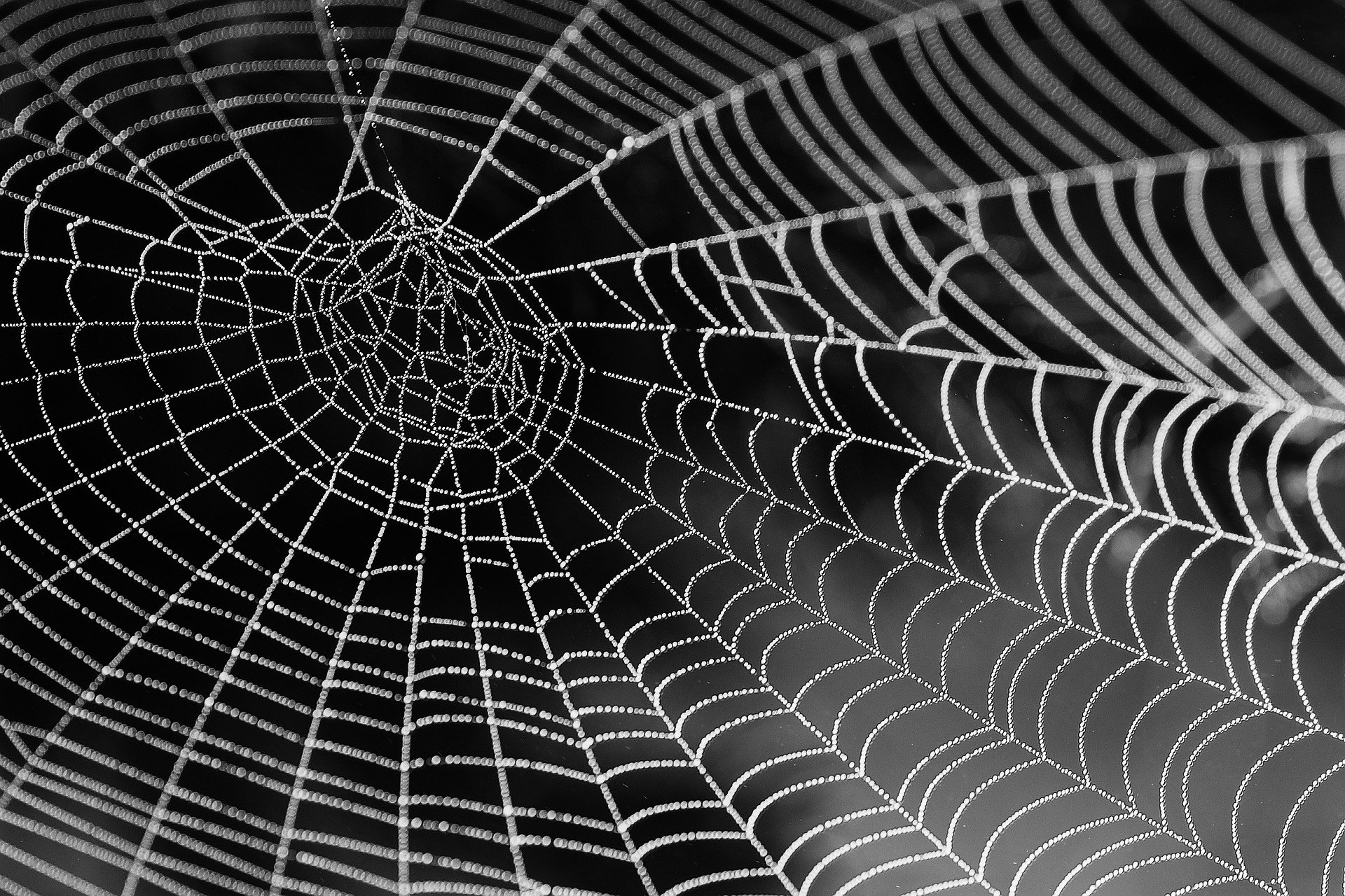 Thoughts on Virtue, Part 1 – Sacred Life