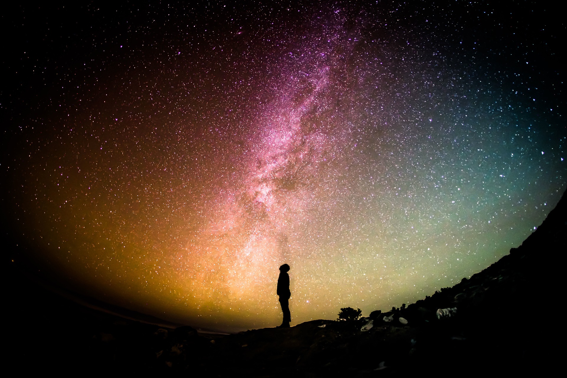 Is the universe conscious?