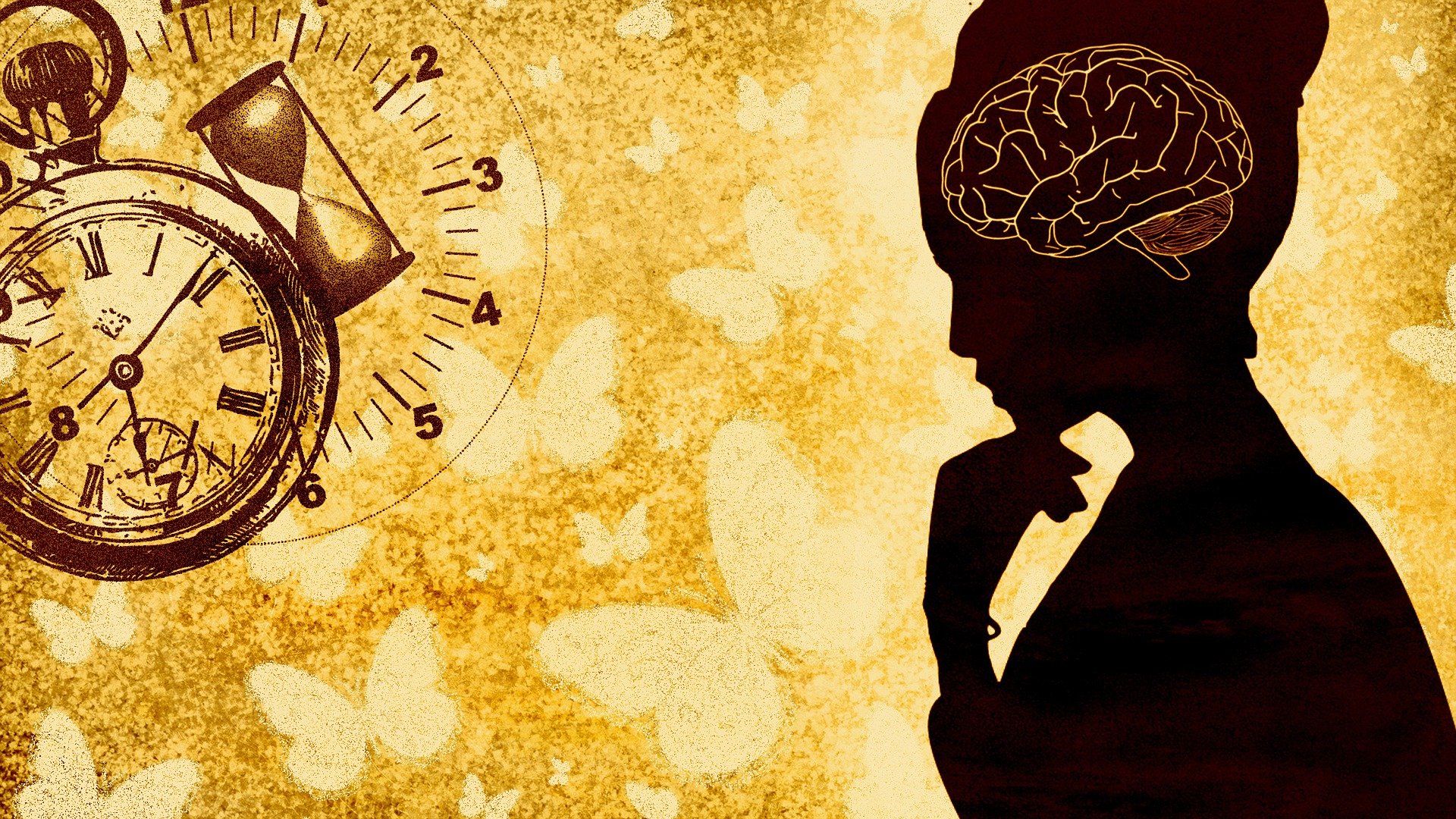 What is a philosophy?